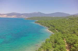 Çamlı koy - Akbük