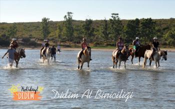 Didim At Safari Turu