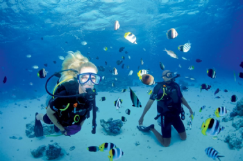 Scuba Diving Adventures in Didim