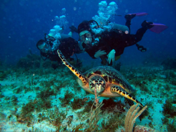SCUBA DIVING ADVENTURES IN DIDIM